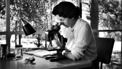 Rachel Carson (1907-1964)