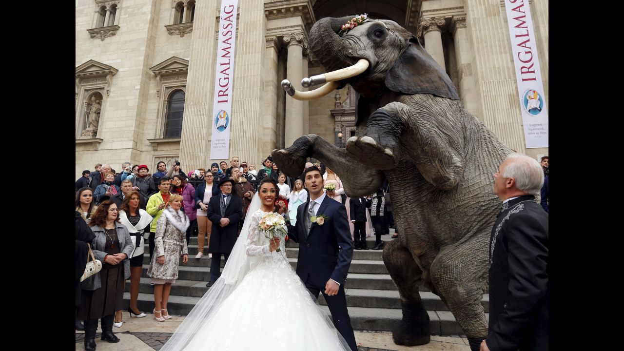 Merrylu Casselly and Jozsef Richter, two circus performers, pose with an elephant as they celebrate their wedding in Budapest, Hungary, on Sunday, February 14.