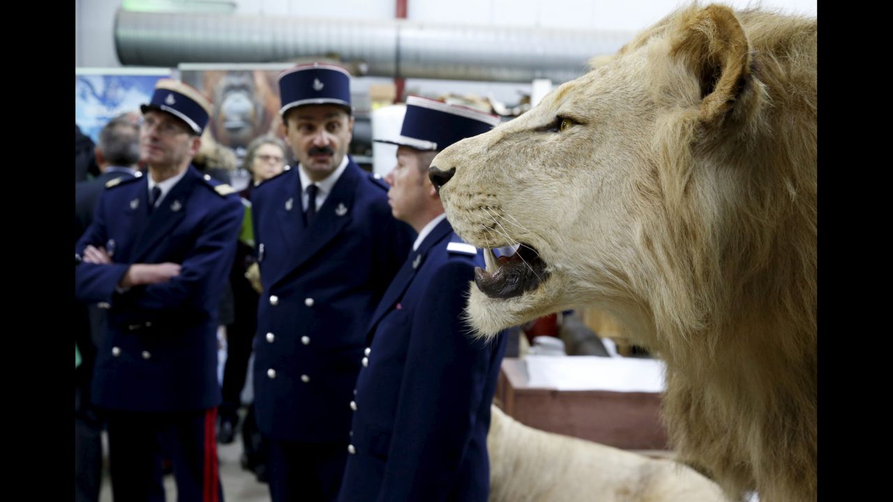 Customs officers in Paris stand next to a stuffed lion at the Museum of Natural History on Tuesday, February 16.
