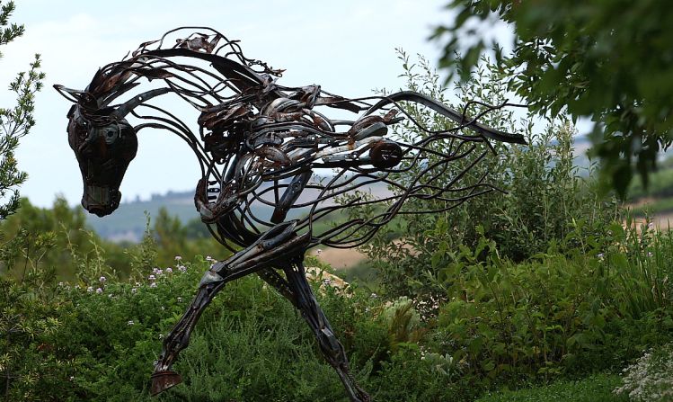 There are several sculptures located around the grounds celebrating the elegance and beauty of the equine form.