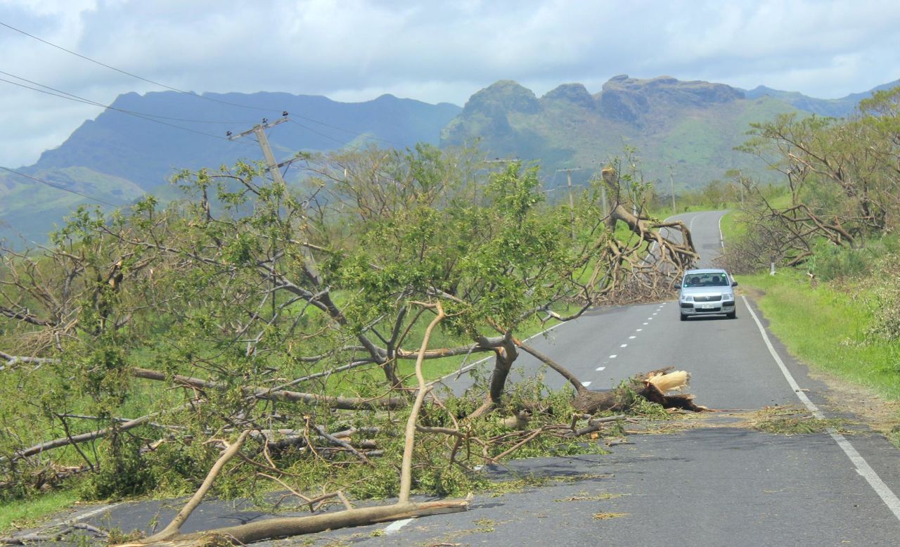 A car drives down a road avoiding two large trees felled by the cyclone. 