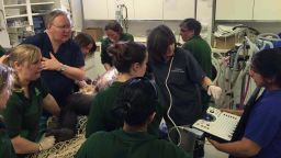 The operating theater at Bristol Zoo, western England