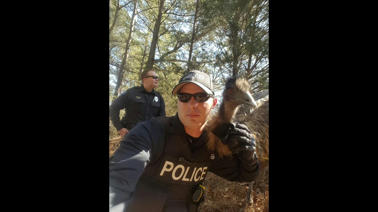 Cody Pruitt, a police officer in Oxford, Mississippi, poses with an emu <a href="http://www.cnn.com/2016/02/19/us/police-officer-emu-selfie/" target="_blank">he helped capture</a> Friday, February 19. The police department <a href="https://twitter.com/OxfordPolice/status/700746284089679872?ref_src=twsrc%5Etfw" target="_blank" target="_blank">posted it on Twitter</a> with the hashtag #TheEmuWhisperer.