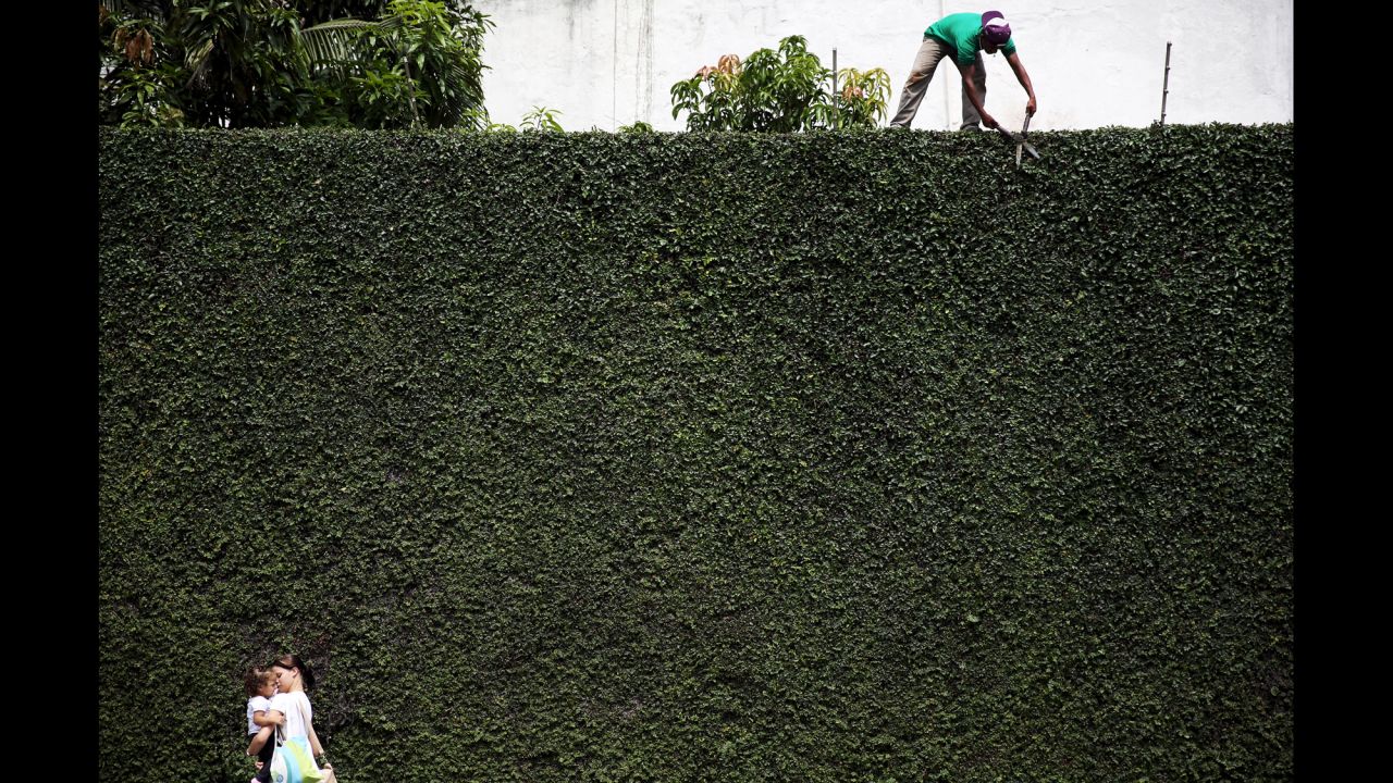 A worker trims a hedge in Sao Paulo. The city's largest park is Parque do Ibirapuera, home to a museum of modern art and a museum of Brazil's African history. 