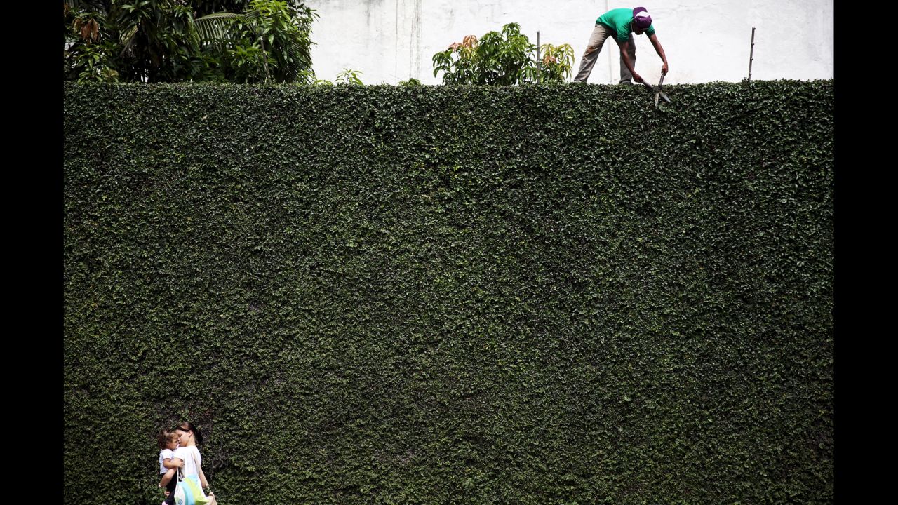 A worker trims a hedge in Sao Paulo. The city's largest park is Parque do Ibirapuera, home to a museum of modern art and a museum of Brazil's African history.