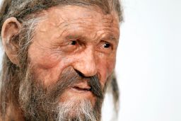 A statue representing Otzi is displayed at the Archaeological Museu of Bolzano. 