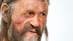 A statue representing an iceman named Otzi, discovered on 1991 in the Italian Schnal Valley glacier, is displayed at the Archaeological Museu of Bolzano on February 28, 2011 during an official presentation of the reconstrution. Based on three-dimensional images of the mummy's skeleton as well as the latest forensic technology, a new model of the living Otzi has been created by Dutch experts Alfons and Adrie Kennis. 
    AFP PHOTO / Andrea Solero        (Photo credit should read Andrea Solero/AFP/Getty Images)