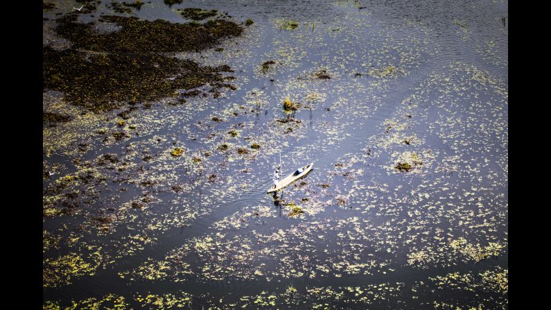 Neighboring Botswana has banned hunting. The country's Okavango Delta is the world's largest inland river delta, sustaining a rich natural world. Fed by the Okavango River, the delta can be a watery labyrinth of narrow canals.