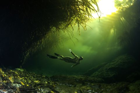 "In some cenotes there are these 'false bottoms' that are created," continued Barrett.<br />"So where it looks like there is an underwater island with trees, what is really happening is a cloud of stinky hydrogen sulfide which has gathered, creating an illusion of a misty lake."