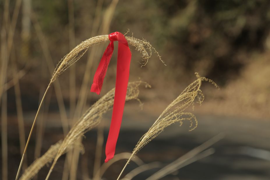 Former residents say highly radioactive plants are marked with red ribbons to indicate danger.