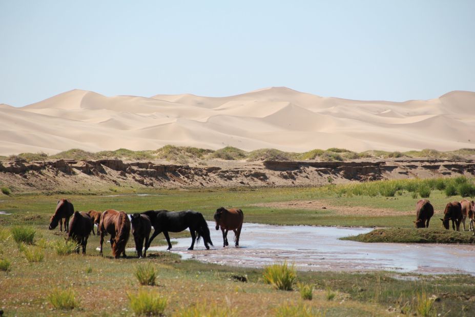 "This was a special ecosystem in South Mongolia, where water ran behind the dunes," says Marquis. "It was a precious water supply for both me and the animals."