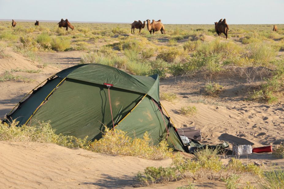 "One morning in Mongolia I woke up to a comforting, melodic sound," she says. "I opened my tent to find camels all around me."
