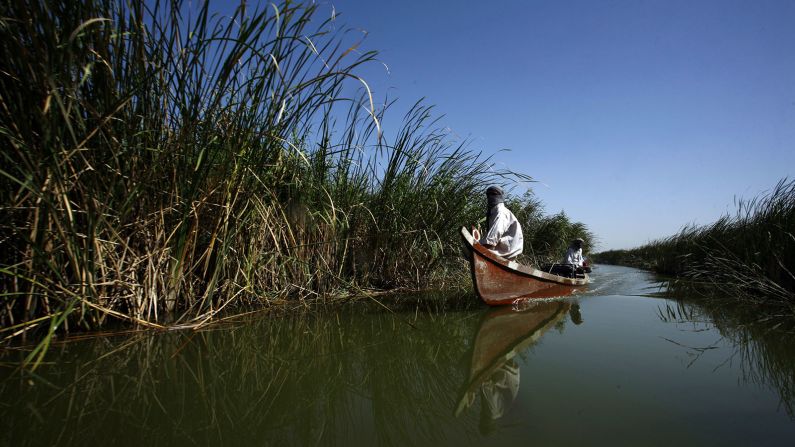 The wetlands of the Tigris and Euphrates, taught in schoolbooks as the birthplace of civilization, were drained by Saddam Hussein but are being restored with an eye toward eco-tourism.