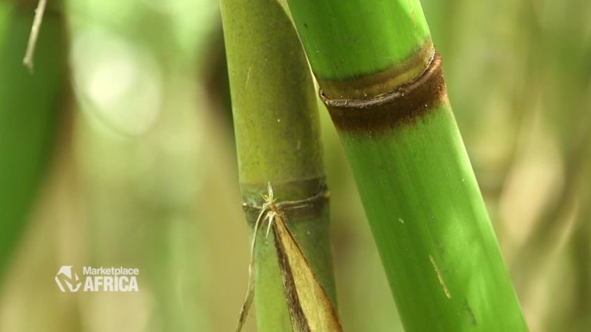 marketplace africa ethiopian bamboo a_00011302.jpg