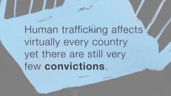 cfp trafficking animation