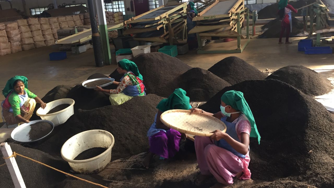 Final processing at the tea plant before it is shipped to market where prices rise or fall drastically.