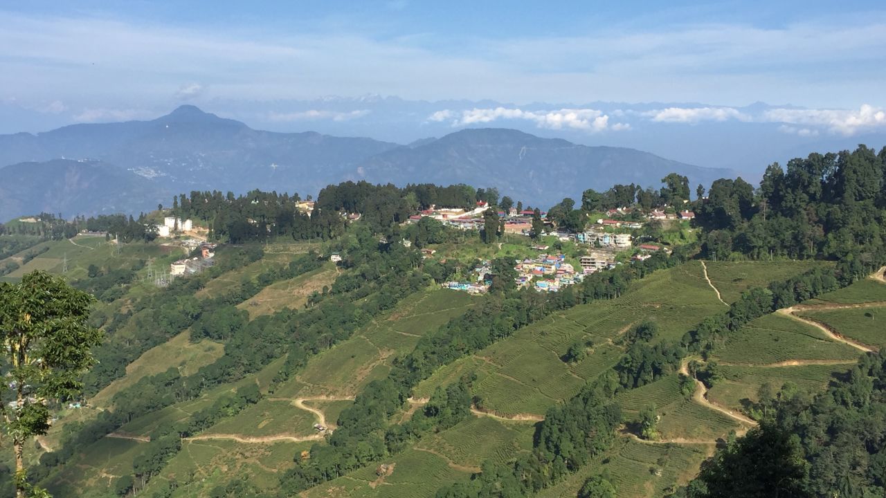 India's tea producing heart is beautiful but poverty can drive tea workers into the arms of traffickers.