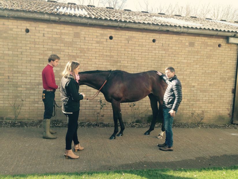 Pictured at his Newmarket stables, Varian gets to know each of his horses "like children" to select the right one for each race. He looks for "a strong neck and shoulder, well proportioned limbs, a deep middle and a well-developed backside."