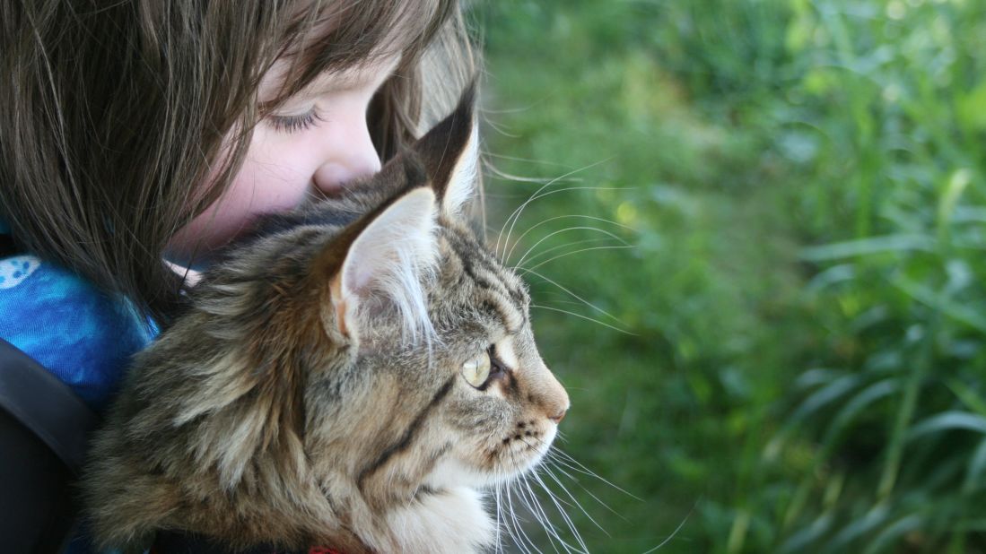 Six-year-old Iris Grace Halmshaw, who has autism, immediately bonded with Thula when her parents brought the affectionate Maine Coon kitten home two years ago. Click through our gallery to see more of their adventures. 