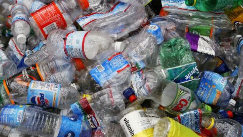 Bacteria breaks down a type of plastic known as PET, commonly used in water bottles.