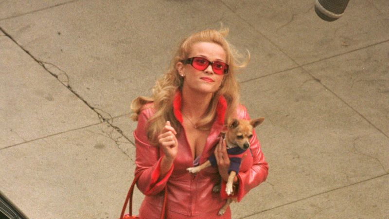 Reese Witherspoon's dog in 'Legally Blonde' dies | CNN