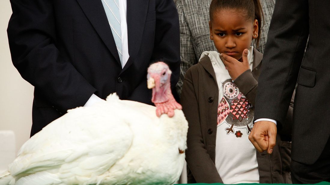 Sasha looks at a turkey named Courage during a Thanksgiving tradition to "pardon" a turkey in November 2009.