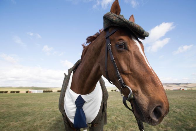 Racing fans will wear enough tweed this week to stretch one and a half times around every horse race track in Britain and Ireland, according to statistician Dr. Geoff Ellis. 