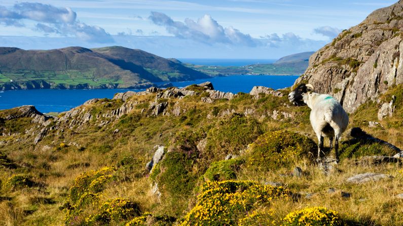 <strong>Allihies (Cork): </strong>The Allihies Copper Mine Trail is a walking route around the wild Beara Peninsula, with spectacular mountain and sea views. 