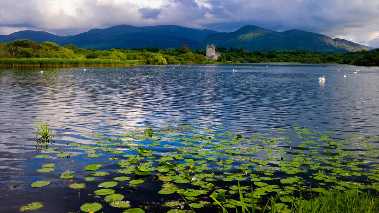 <strong>Ross Castle (Killarney): </strong>Ross Castle is a 15-century tower house and keep on the edge of Lough Leane, the largest of Killarney's three lakes. 