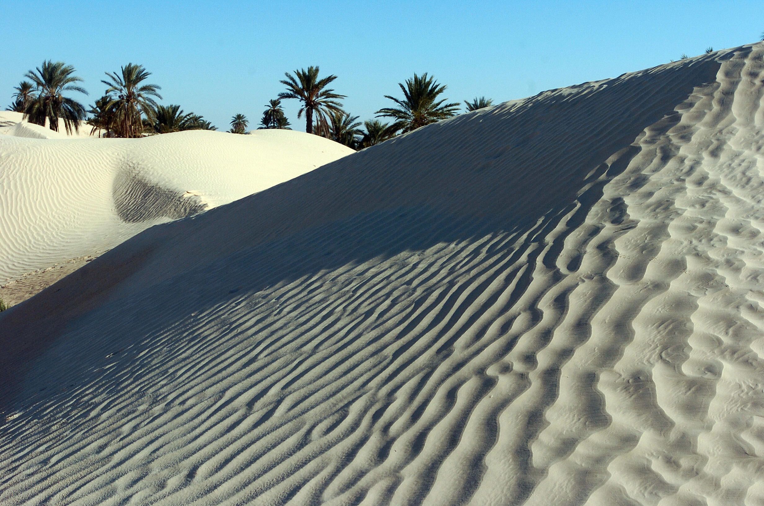 sahara desert climate