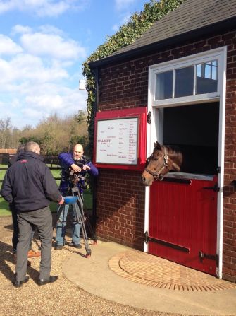 Pivotal's son, Kyllachy, himself a champion sire, demands some attention from our camera crew. 