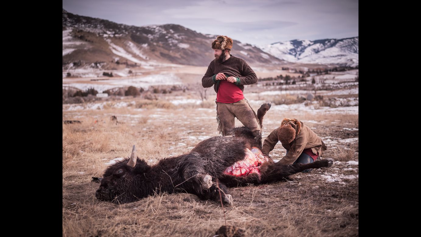 Alex and Katie field dressing a buffalo for a native hunter.