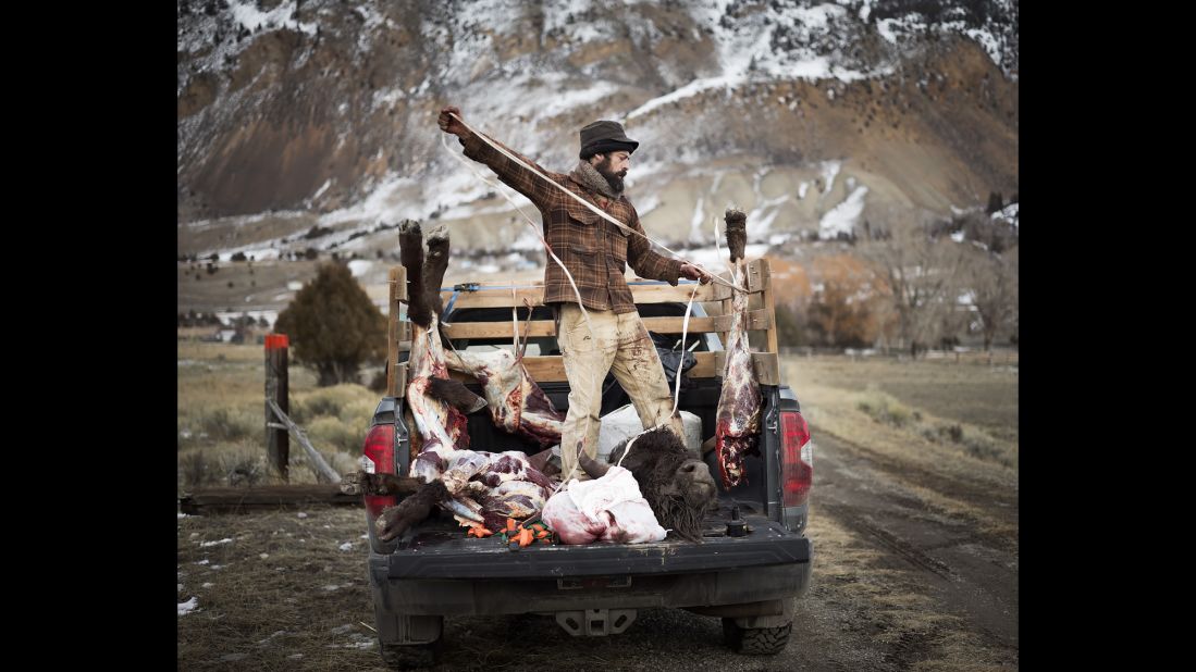 Josh loads buffalo quarters into a Native American hunter's truck.