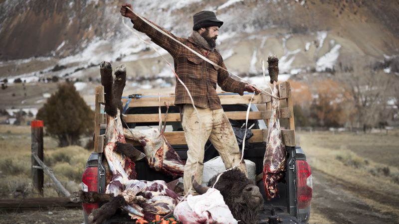 Montana gleaners scavenge meat from bison carcasses | CNN