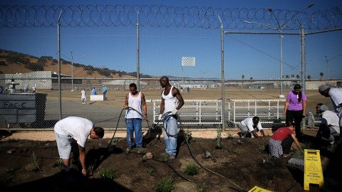 Inmates at a state prison in Vacaville, California, install a drought-tolerant garden in October. The garden will be watered using reclaimed water from the prison's kitchen. California is entering its fifth year of severe drought.