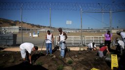 VACAVILLE, CA - OCTOBER 19:  A California State Prison-Solano inmates install a drought-tolerant garden in the prison yard on October 19, 2015 in Vacaville, California.  Inmates at California State Prison-Solano installed a drought-tolerant garden as part of the Insight Garden program that teaches inmates environmental and gardening skills. The garden will be watered using reclaimed water from the prison's kitchen.  (Photo by Justin Sullivan/Getty Images)