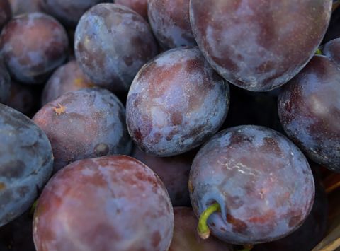 Plums are not only a good source of antioxidants -- they are known for their laxative properties, too.<br />