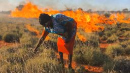 Half of the diet of the Martu is still composed of traditional bush foods.