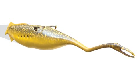 Scientists believe they may have solved the mystery of the Tully monster, illustrated above.