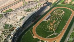 meydan racecourse aerial