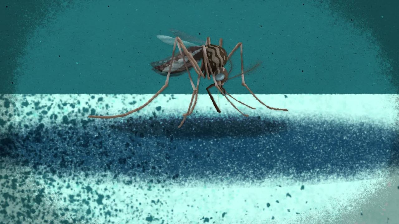 zika animation dr. sanjay gupta ts orig_00014016.jpg