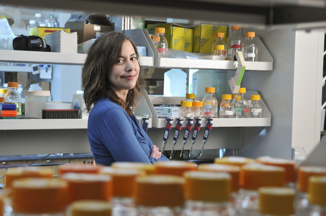 Smolke's technique is anticipated to make opioid drugs within three to five days. She's confident  her method will lead to drug advances for other conditions, such as cancer.
