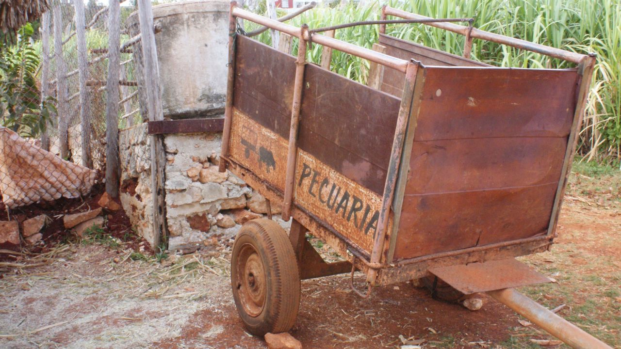 The 150 employees of the Vivero Alamar farm make do with their antiquated equipment.