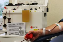 Blood plasma is the yellow liquid that holds blood cells in suspension.