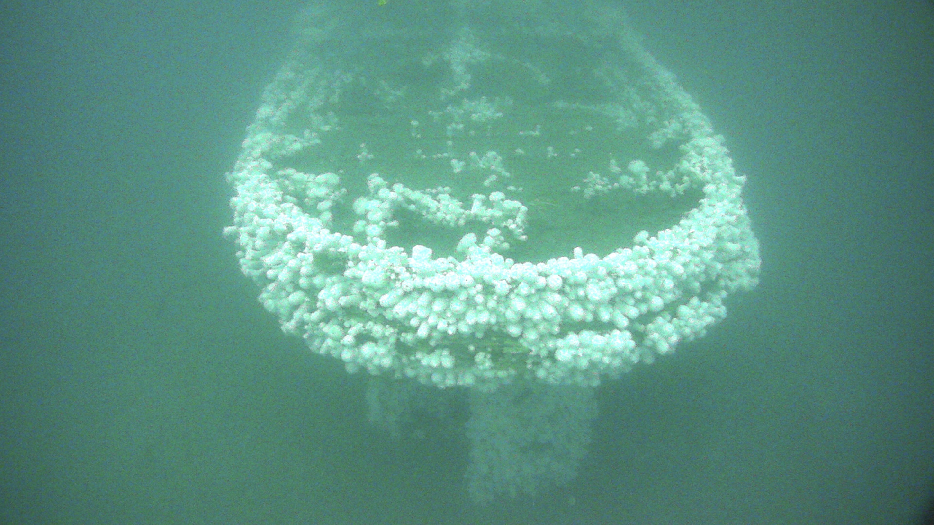 Stern view of the shipwreck USS Conestoga colonized with white plumose sea anemones.