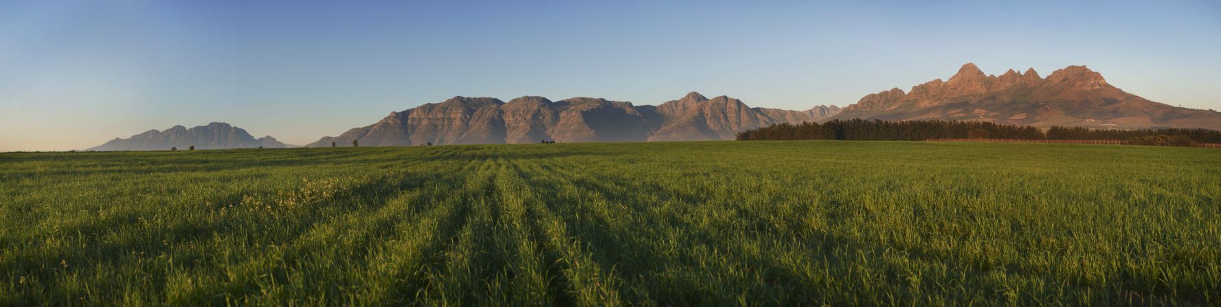 The estate looks out onto some of the most spectacular scenery in the Western Cape.