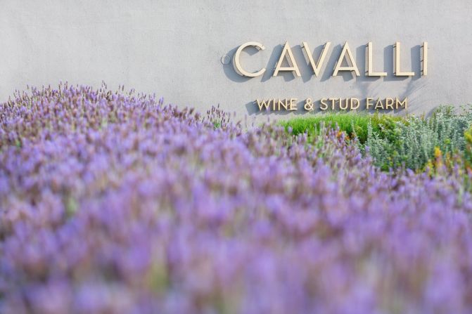 Named after the Italian word for horses, the Cavalli estate, near Stellenbosch covers around 125 hectares.