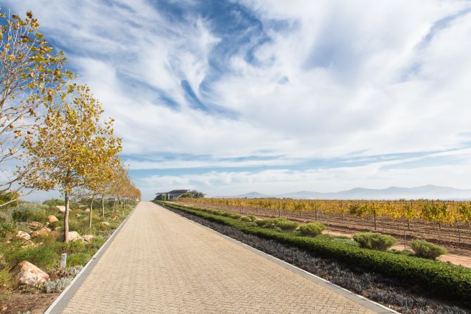Famed for its rich, full-bodied wines, the vineyards are located a 30-minute drive from Cape Town.