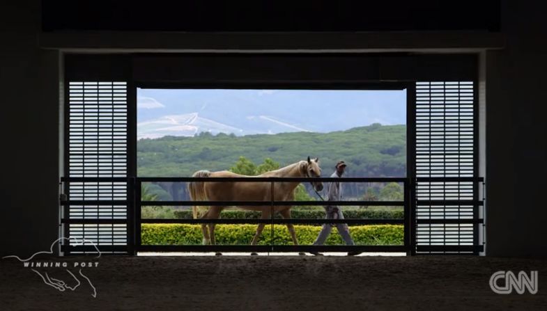 "Horses historically and culturally even religiously embody a lot of meaning — people are always quite intrigued by them. The horse has just got an incredible unspoken quality," Smith says.