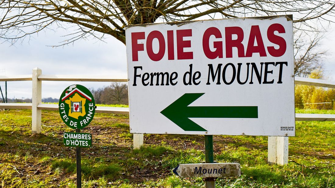 Instead of well-trodden wine trails, Gascony has hand-painted signposts along rugged country roads.